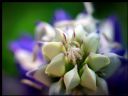 Aparaty cyfrowe: zdj�cia, jaki kupi�, porady : cz. 189 - JerryzzZ^