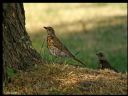 Aparaty cyfrowe: zdj�cia, jaki kupi�, porady : cz. 189 - ewelina_m