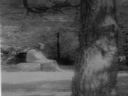 Bezsenno�� 353 - no more sleep - req_