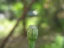 Aparaty cyfrowe: zdj�cia, jaki kupi�, porady : cz. 190 - BeneQ junior