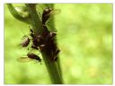 Aparaty cyfrowe: zdj�cia, jaki kupi�, porady : cz. 190 - sugibejbs