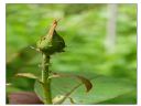 Aparaty cyfrowe: zdj�cia, jaki kupi�, porady : cz. 190 - sugibejbs