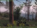 ArmA: Armed Assault [cz�� 32] - T_bone