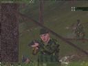ArmA: Armed Assault [cz�� 32] - T_bone