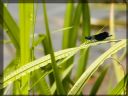 Aparaty cyfrowe: zdj�cia, jaki kupi�, porady : cz. 191 - JerryzzZ^
