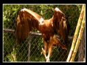 Aparaty cyfrowe: zdj�cia, jaki kupi�, porady : cz. 191 - m1a87z