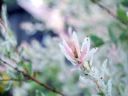 Aparaty cyfrowe: zdj�cia, jaki kupi�, porady : cz. 211 - sugibejbs