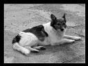 Aparaty cyfrowe: zdj�cia, jaki kupi�, porady : cz. 211 - Narmo