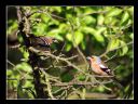 Aparaty cyfrowe: zdj�cia, jaki kupi�, porady : cz. 211 - Narmo