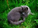 Aparaty cyfrowe: zdj�cia, jaki kupi�, porady : cz. 211 - Narmo