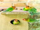 Aparaty cyfrowe: zdj�cia, jaki kupi�, porady : cz. 211 - N2