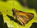 Aparaty cyfrowe: zdj�cia, jaki kupi�, porady : cz. 211 - Gilmar