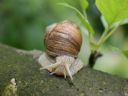 Aparaty cyfrowe: zdj�cia, jaki kupi�, porady : cz. 211 - karpiu_87