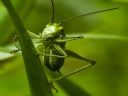 Aparaty cyfrowe: zdj�cia, jaki kupi�, porady : cz. 211 - Gilmar