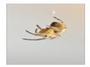 Aparaty cyfrowe: zdj�cia, jaki kupi�, porady : cz. 211 - ResOOrt
