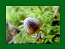 Aparaty cyfrowe: zdj�cia, jaki kupi�, porady : cz. 211 - hubercik015
