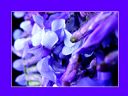 Aparaty cyfrowe: zdj�cia, jaki kupi�, porady : cz. 211 - hubercik015