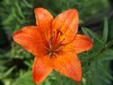 Aparaty cyfrowe: zdj�cia, jaki kupi�, porady : cz. 211 - karpiu_87