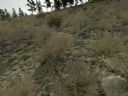 ArmA: Armed Assault [cz�� 52] "No Country For Old Noob" - sto2003