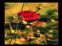 Aparaty cyfrowe: zdj�cia, jaki kupi�, porady : cz. 212 - smuggler