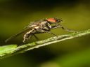 Aparaty cyfrowe: zdj�cia, jaki kupi�, porady : cz. 212 - N2
