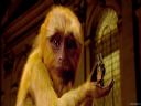 Filmo�ercy - jaki to film? :::kadr 394:::  - Enc0re