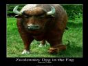 >>Jak wygl�dacie - [Zdj�cia] Part 215<< Run beaver, run! - deTorquemada