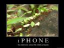 iPhone 4, dzisiaj premiera! - -bartek