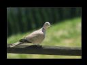 Aparaty cyfrowe: zdj�cia, jaki kupi�, porady : cz. 191 - Gotman