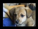 Aparaty cyfrowe: zdj�cia, jaki kupi�, porady : cz. 191 - Gotman
