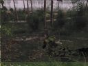 ArmA: Armed Assault [cz�� 34] - T_bone