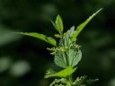 Aparaty cyfrowe: zdj�cia, jaki kupi�, porady : cz. 191 - sajes