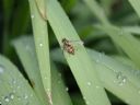 Aparaty cyfrowe: zdj�cia, jaki kupi�, porady : cz. 191 - ResOOrt
