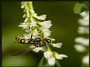 Aparaty cyfrowe: zdj�cia, jaki kupi�, porady : cz. 191 - JerryzzZ^