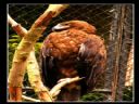 Aparaty cyfrowe: zdj�cia, jaki kupi�, porady : cz. 192 - m1a87z