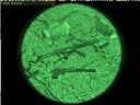 ArmA: Armed Assault [cz�� 34] - T_bone