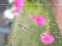 Aparaty cyfrowe: zdj�cia, jaki kupi�, porady : cz. 192 - hubercik015