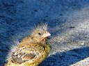 Aparaty cyfrowe: zdj�cia, jaki kupi�, porady : cz. 193 - Ralf.Button