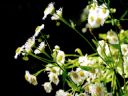 Aparaty cyfrowe: zdj�cia, jaki kupi�, porady : cz. 193 - sugibejbs