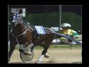 Aparaty cyfrowe: zdj�cia, jaki kupi�, porady : cz. 193 - Gotman