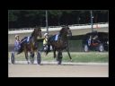 Aparaty cyfrowe: zdj�cia, jaki kupi�, porady : cz. 193 - Gotman