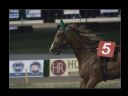 Aparaty cyfrowe: zdj�cia, jaki kupi�, porady : cz. 193 - Gotman