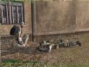 ArmA: Armed Assault [cz�� 36] - T_bone