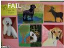 http://failblog.org/ - Krala