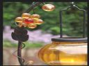 Aparaty cyfrowe: zdj�cia, jaki kupi�, porady : cz. 212 - Deton