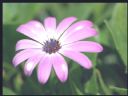Aparaty cyfrowe: zdj�cia, jaki kupi�, porady : cz. 212 - Deton