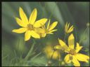 Aparaty cyfrowe: zdj�cia, jaki kupi�, porady : cz. 212 - Deton