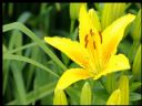 Aparaty cyfrowe: zdj�cia, jaki kupi�, porady : cz. 212 - Deton