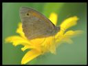 Aparaty cyfrowe: zdj�cia, jaki kupi�, porady : cz. 212 - Deton