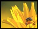 Aparaty cyfrowe: zdj�cia, jaki kupi�, porady : cz. 212 - Deton